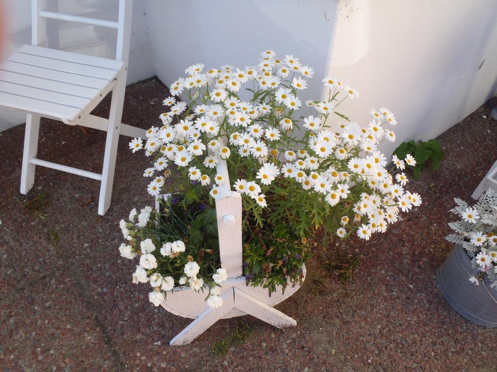 Oddevej 20 Skagen Hotel Bagian luar foto
